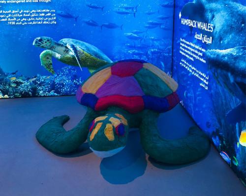 GRP 3D Model Turtle